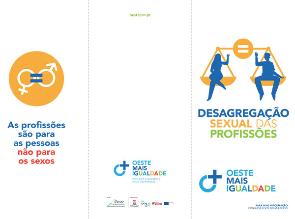 Flyer Desagregação Sexual das Profissões