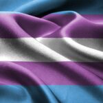 bandeira transgénero